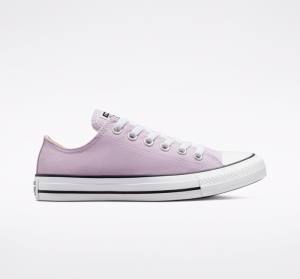 Converse Chuck Taylor All Star Seasonal Color Nizke Superge Sivke | CV-165OAT