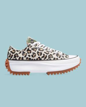 Converse Run Star Hike Wild Archive Nizke Superge Leopárd | CV-732ZIF