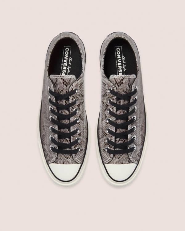 Converse Chuck 70 Reptile Suede Nizke Superge Siva | CV-260UHV