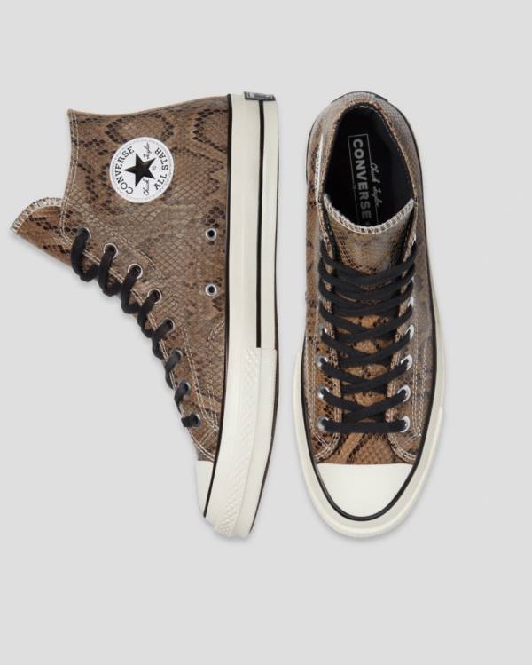 Converse Chuck 70 Reptile Suede Visoke Superge Rjav | CV-165WNL