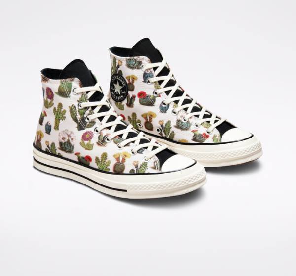 Converse Chuck 70 Succulents Visoke Superge Črna | CV-123ASG