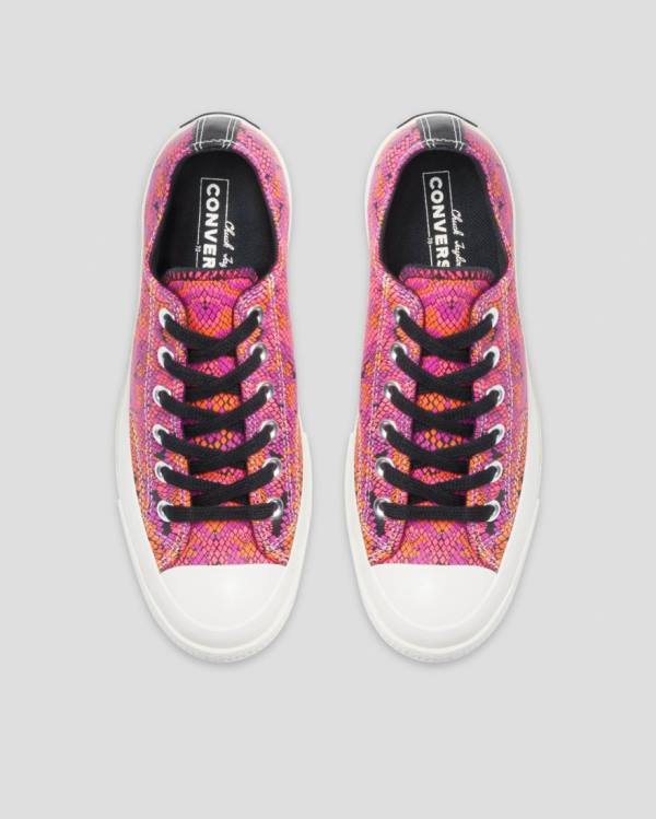 Converse Chuck 70 Usnje Printed Nizke Superge Roza Oranžna | CV-089YLW