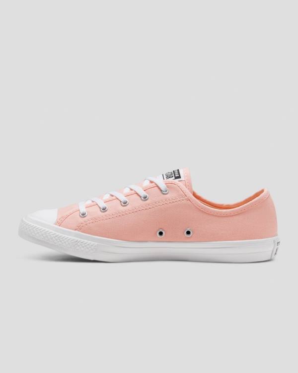 Converse Chuck Taylor All Star Dainty Seasonal Colour Nizke Superge Roza | CV-719VMH