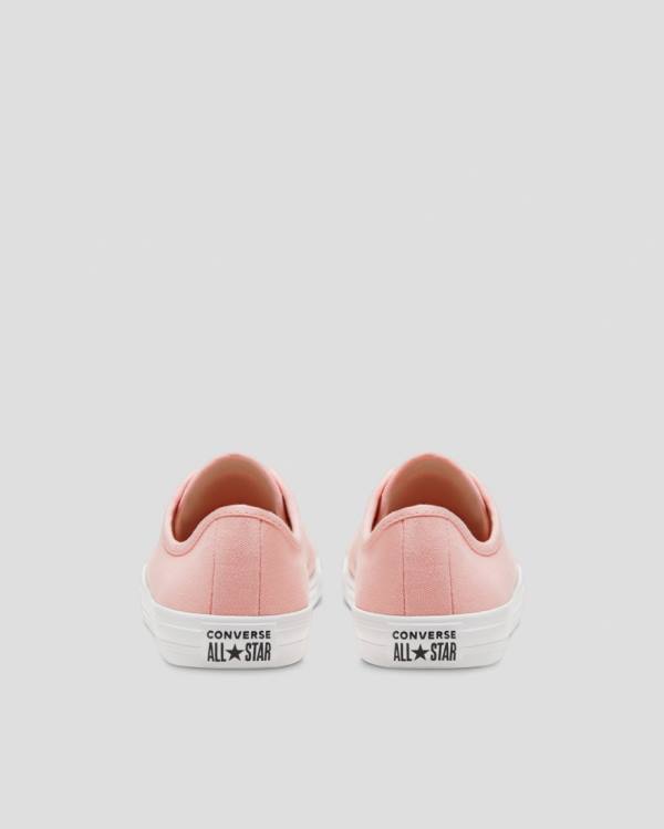 Converse Chuck Taylor All Star Dainty Seasonal Colour Nizke Superge Roza | CV-719VMH