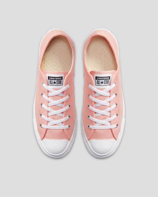 Converse Chuck Taylor All Star Dainty Seasonal Colour Nizke Superge Roza | CV-719VMH