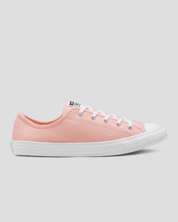 Converse Chuck Taylor All Star Dainty Seasonal Colour Nizke Superge Roza | CV-719VMH