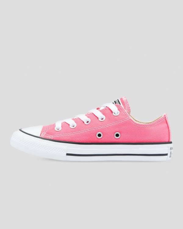 Converse Chuck Taylor All Star Seasonal Colour Nizke Superge Roza | CV-153XQW