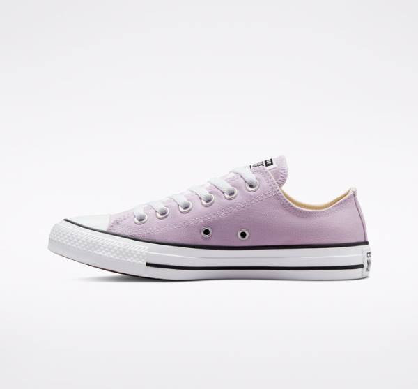 Converse Chuck Taylor All Star Seasonal Color Nizke Superge Sivke | CV-165OAT