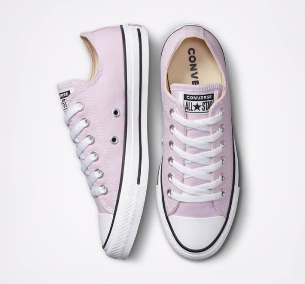 Converse Chuck Taylor All Star Seasonal Color Nizke Superge Sivke | CV-165OAT