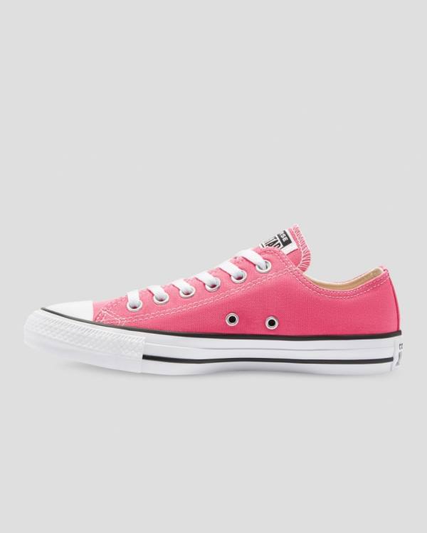 Converse Chuck Taylor All Star Seasonal Colour Nizke Superge Roza | CV-540RFI