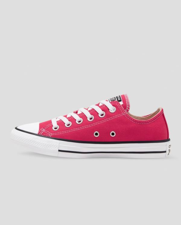 Converse Chuck Taylor All Star Seasonal Colour Nizke Superge Roza | CV-683PZY