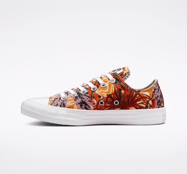 Converse Chuck Taylor All Star Tropical Florals Nizke Superge Oranžna / Črna / Bela | CV-527KPD