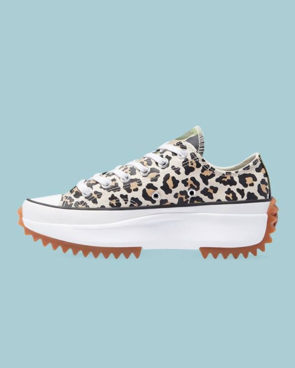 Converse Run Star Hike Wild Archive Nizke Superge Leopárd | CV-732ZIF